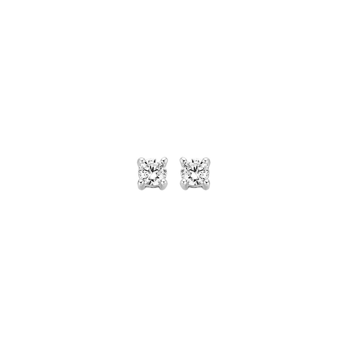 Blush Oorknoppen Or blanc 14 carats avec Zircone