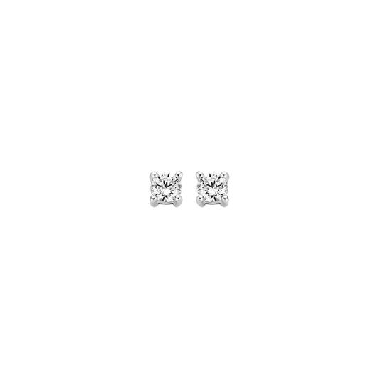 Blush Oorknoppen Or blanc 14 carats avec Zircone