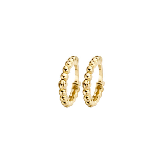 Blush Oorknoppen Or jaune 14 carats